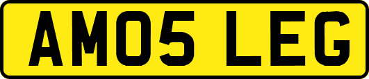 AM05LEG