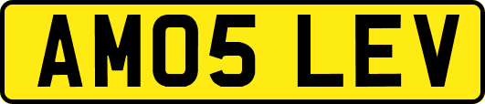 AM05LEV