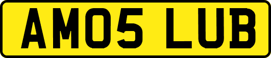 AM05LUB