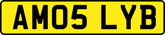 AM05LYB