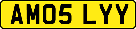 AM05LYY