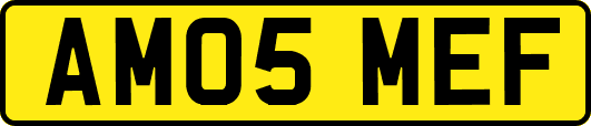 AM05MEF