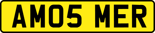AM05MER