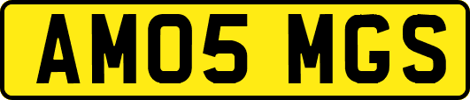 AM05MGS