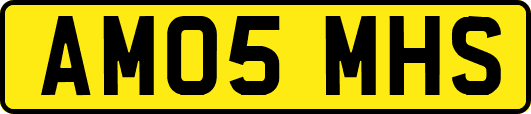 AM05MHS