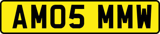 AM05MMW
