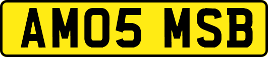 AM05MSB