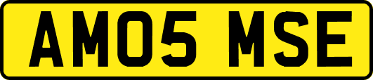 AM05MSE
