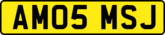 AM05MSJ