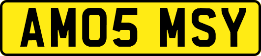 AM05MSY