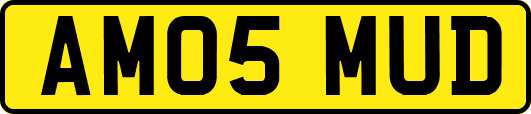 AM05MUD