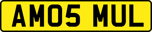 AM05MUL