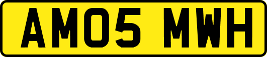 AM05MWH