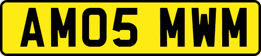 AM05MWM