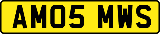 AM05MWS