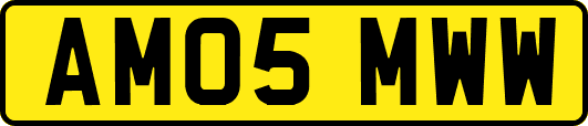 AM05MWW