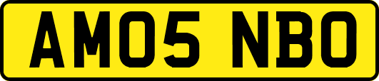 AM05NBO