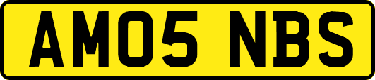 AM05NBS