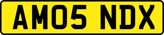 AM05NDX