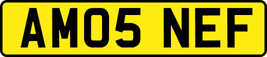 AM05NEF