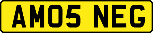 AM05NEG
