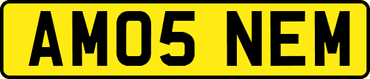 AM05NEM
