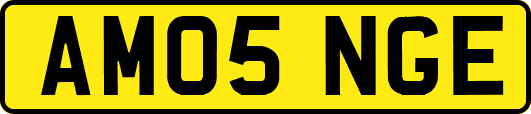 AM05NGE