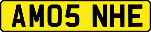 AM05NHE