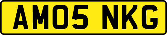 AM05NKG