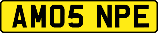 AM05NPE