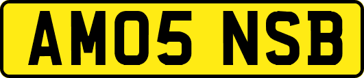 AM05NSB