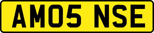AM05NSE