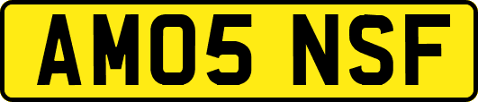 AM05NSF