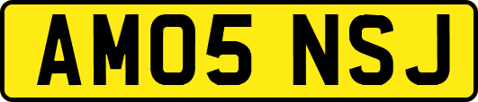 AM05NSJ