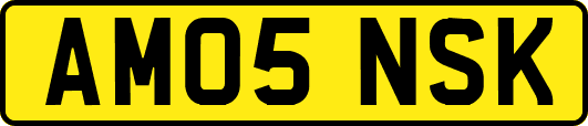 AM05NSK