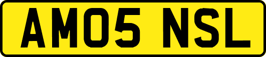 AM05NSL