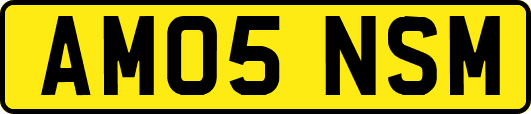 AM05NSM