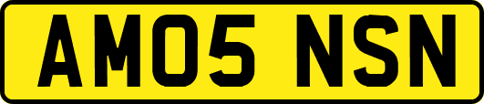 AM05NSN
