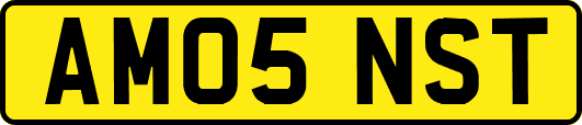 AM05NST