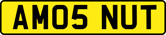 AM05NUT