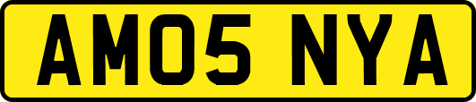 AM05NYA