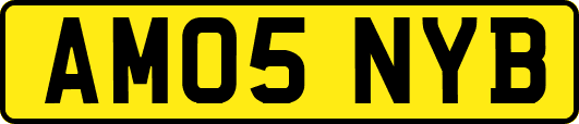 AM05NYB
