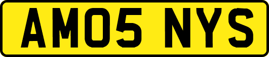 AM05NYS