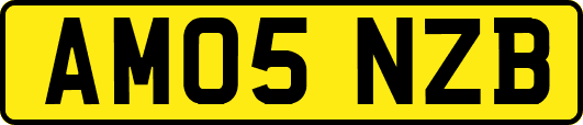 AM05NZB