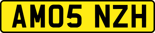AM05NZH