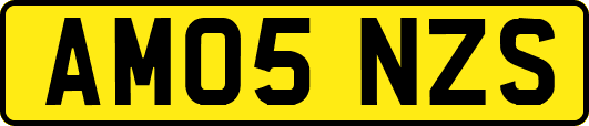 AM05NZS