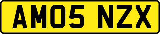 AM05NZX