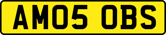 AM05OBS
