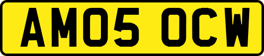 AM05OCW