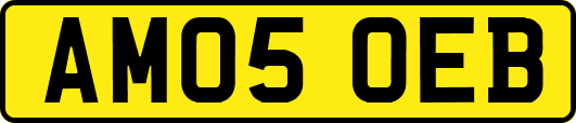 AM05OEB